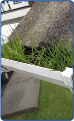 a-gutter-clearing-cleaner-in-whitley-bay-north-tyneside-before-2